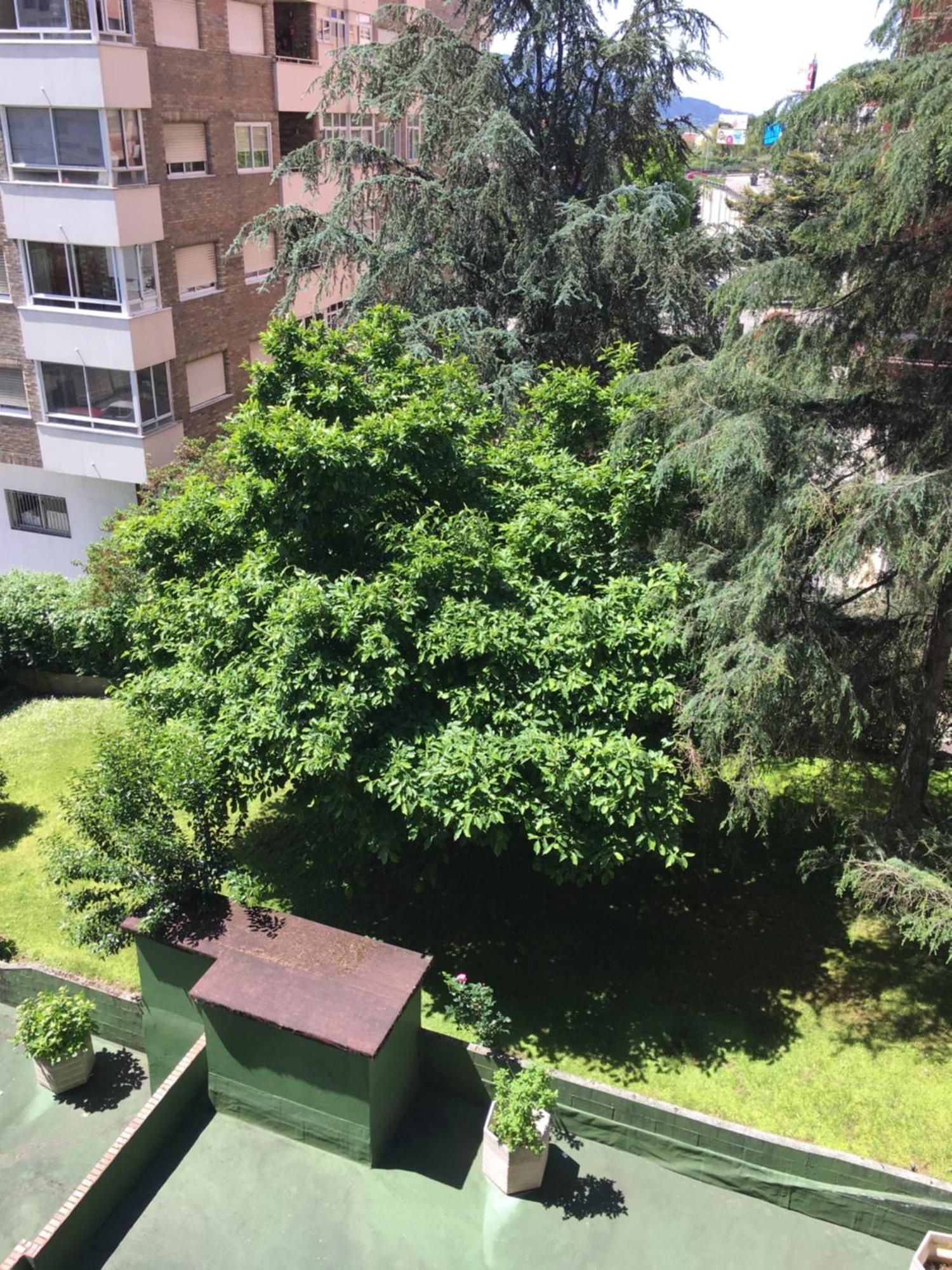 Gaivota Amplio Y Luminoso Con Plaza De Garaje Apartamento Vigo Exterior foto